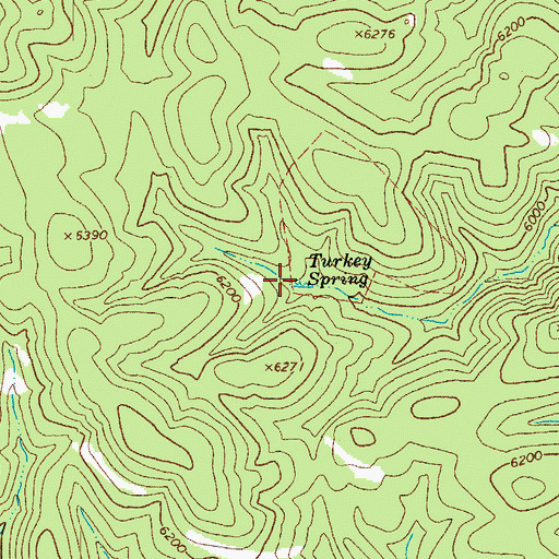 Topographic Map of Turkey Spring, AZ