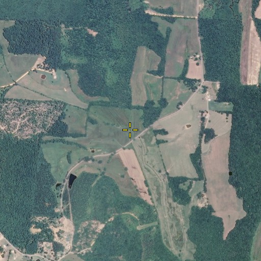 Aerial/Satellite Image of Hoad Branch, TN