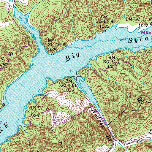 Topographic Map of Hodges Branch, TN