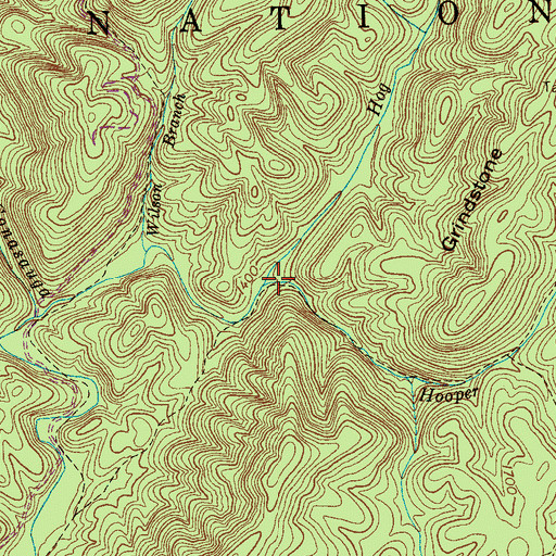 Topographic Map of Hog Branch, TN