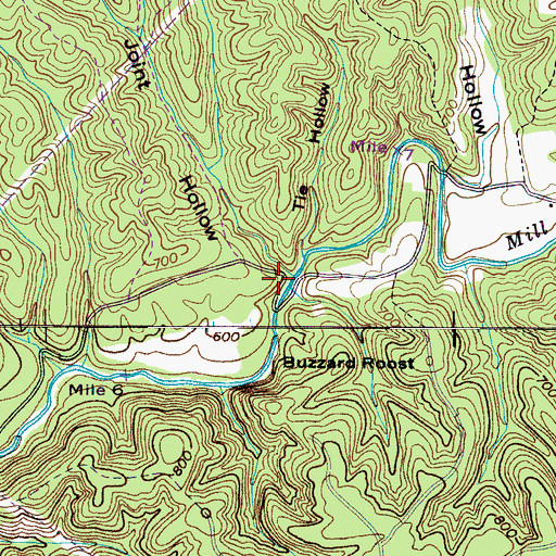 Topographic Map of Hog Joint Hollow, TN