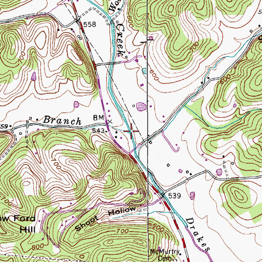 Topographic Map of Hogan Branch, TN