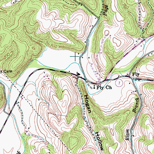 Topographic Map of Hogan Hollow, TN
