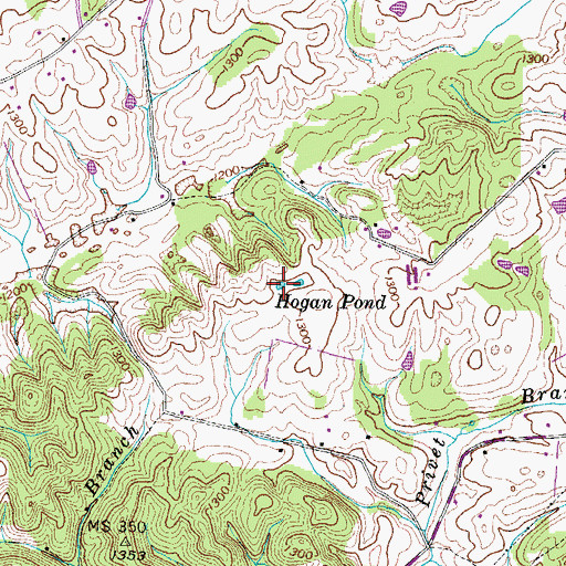Topographic Map of Hogan Pond, TN