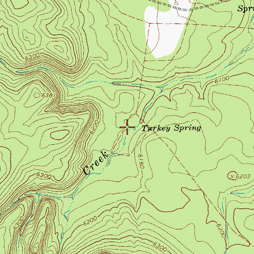Topographic Map of Turkey Spring, AZ