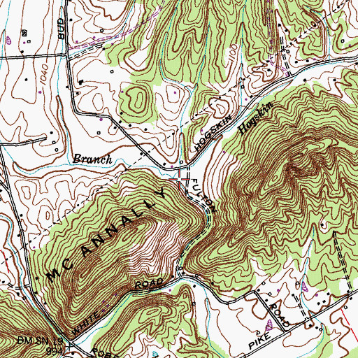 Topographic Map of Hogskin Branch, TN