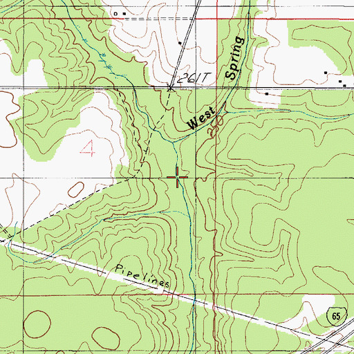 Topographic Map of West Spring Branch, AL