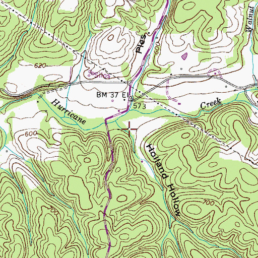 Topographic Map of Holland Hollow, TN