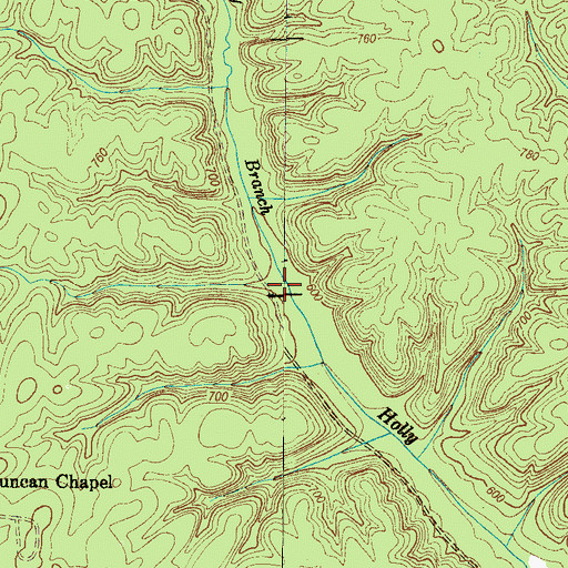 Topographic Map of Holly Branch, TN