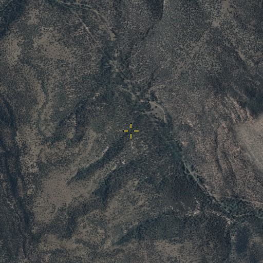 Aerial/Satellite Image of Turkey Spring Corral, AZ