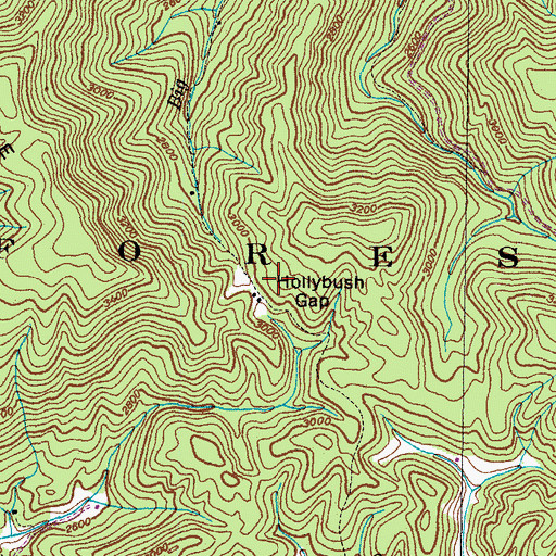 Topographic Map of Hollybush Gap, TN