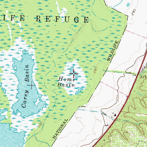 Topographic Map of Home Basin, TN