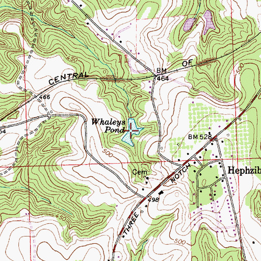 Topographic Map of Whaleys Pond, AL