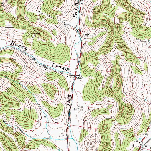 Topographic Map of Honey Prong, TN