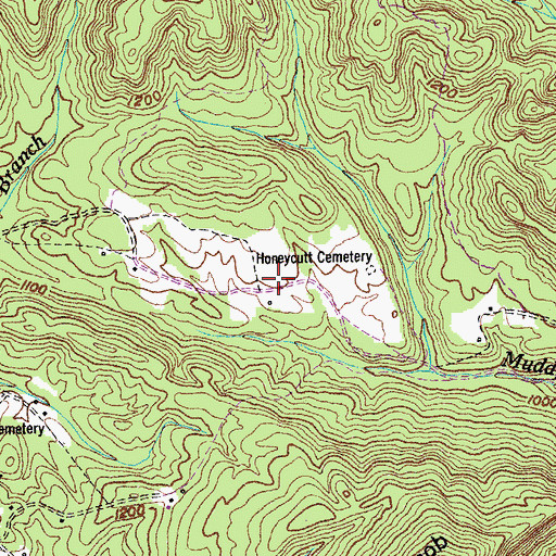 Topographic Map of Honeycutt Cemetery, TN