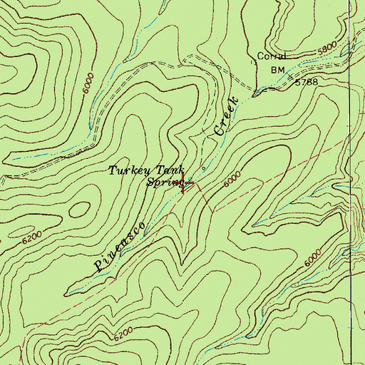 Topographic Map of Turkey Tank Spring, AZ