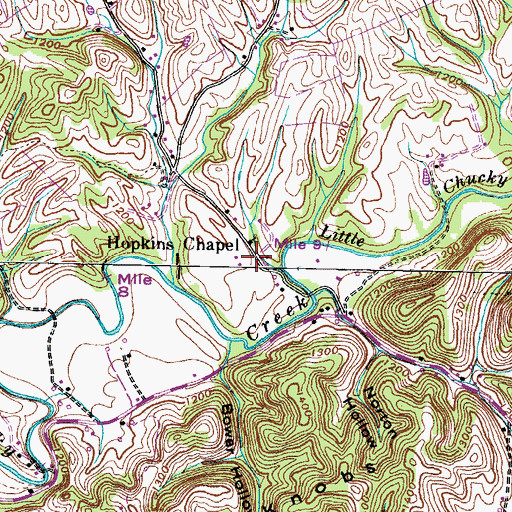 Topographic Map of Hopkins Chapel, TN