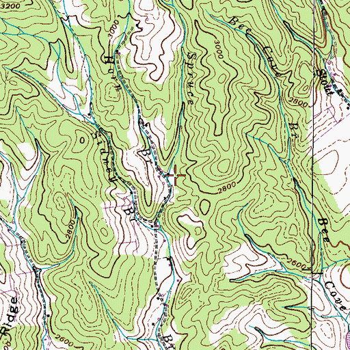 Topographic Map of Horn Branch, TN