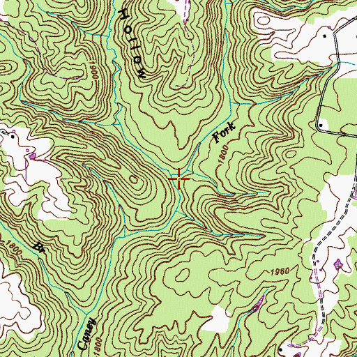 Topographic Map of Horn Hollow, TN