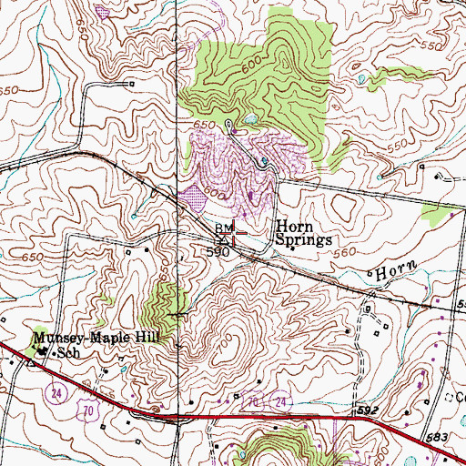 Topographic Map of Horn Springs, TN