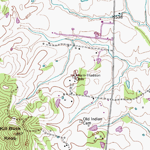 Topographic Map of Horn-Hudson Cemetery, TN