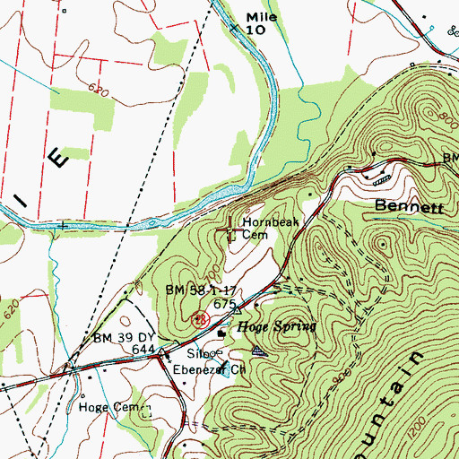Topographic Map of Hornbeak Cemetery, TN