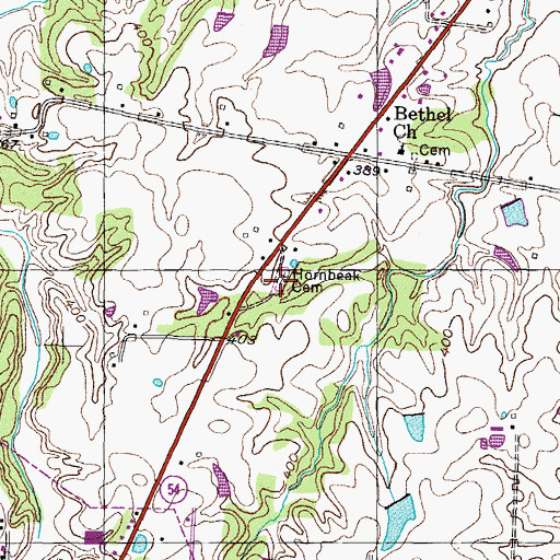 Topographic Map of Hornbeak Cemetery, TN