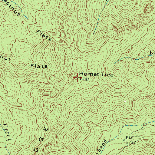 Topographic Map of Hornet Tree Top, TN