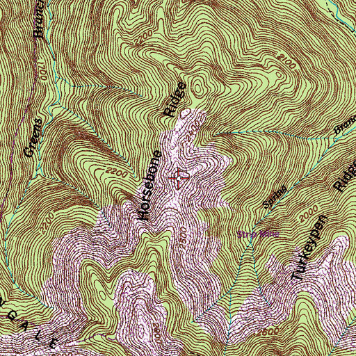 Topographic Map of Horsebone Ridge, TN