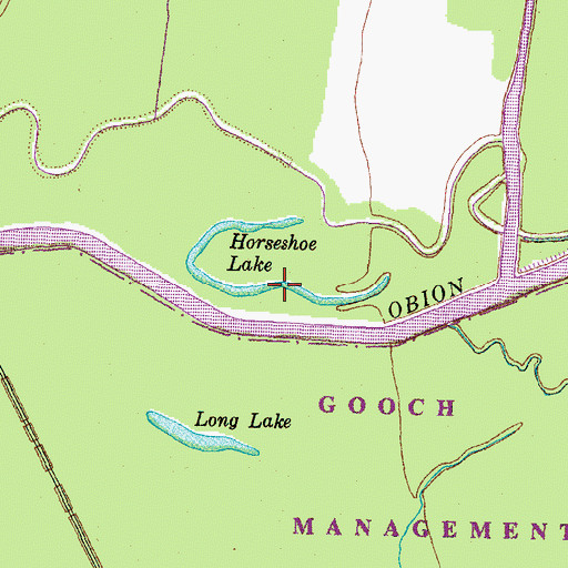 Topographic Map of Horseshoe Lake, TN