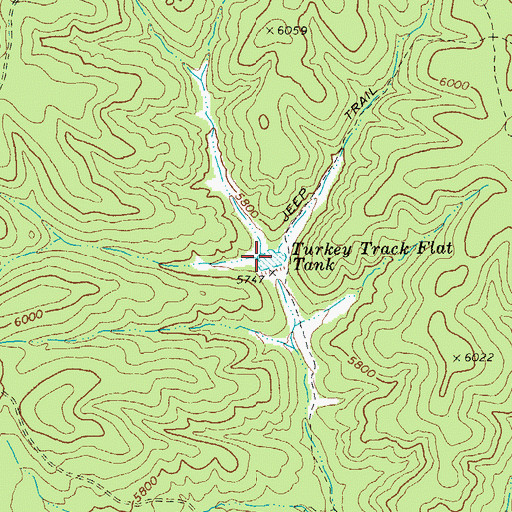 Topographic Map of Turkey Track Flat Tank, AZ
