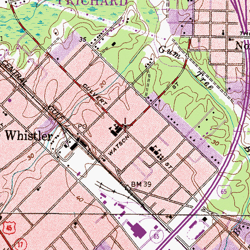 Topographic Map of Whistler, AL
