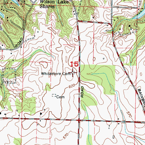 Topographic Map of Whitamore Cemetery, AL