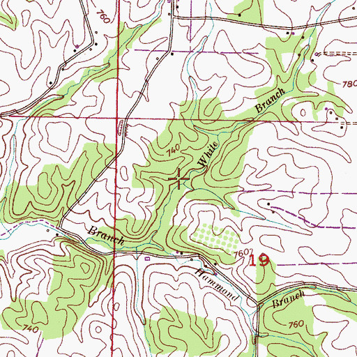 Topographic Map of White Branch, AL