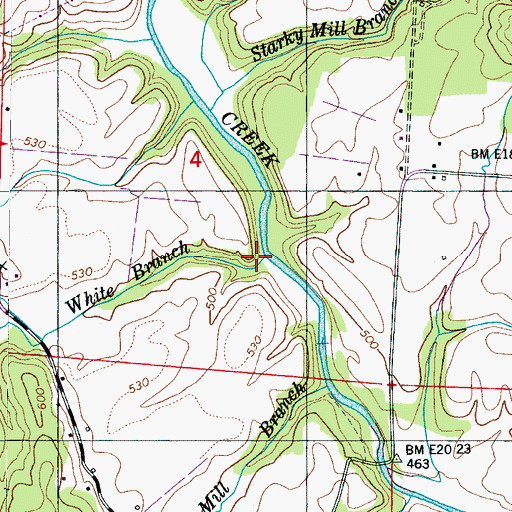 Topographic Map of White Branch, AL