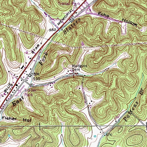 Topographic Map of Hudgins Cemetery, TN