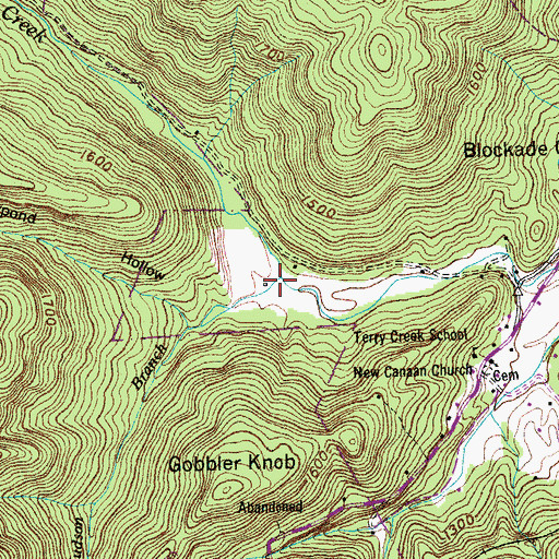 Topographic Map of Hudson Branch, TN