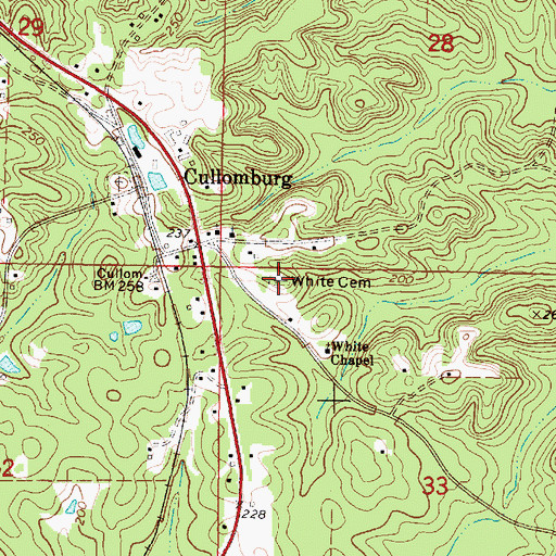 Topographic Map of White Cemetery, AL