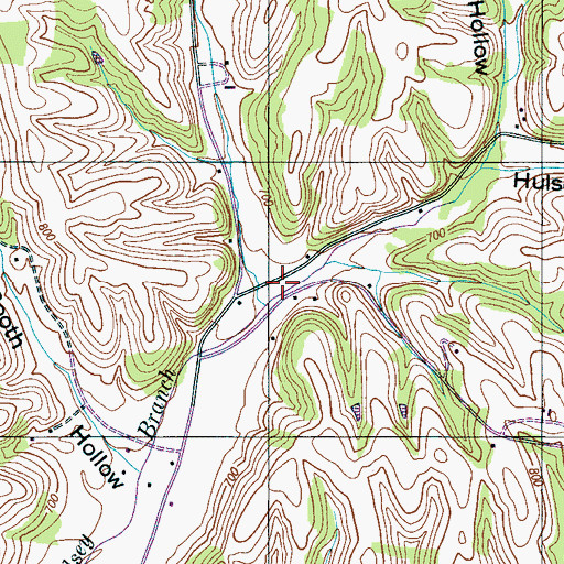 Topographic Map of Hulsey Hollow, TN