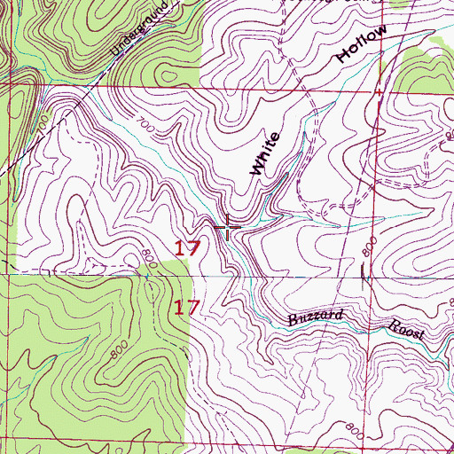 Topographic Map of White Hollow, AL