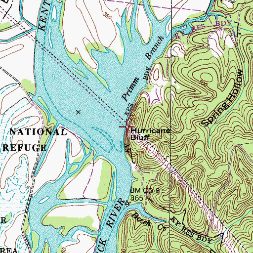 Topographic Map of Hurricane Bluff, TN