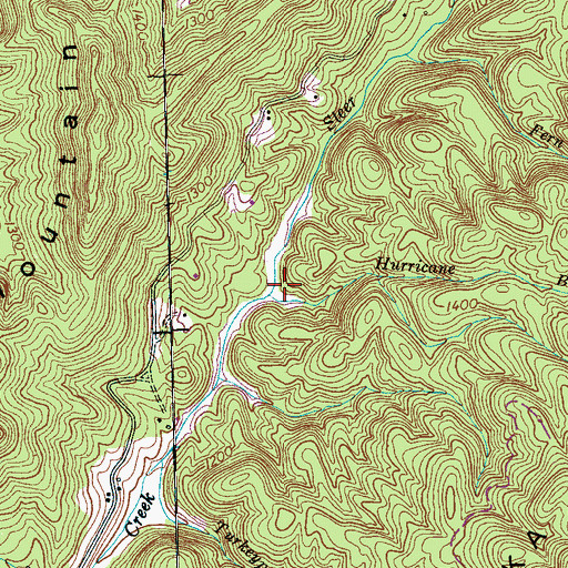 Topographic Map of Hurricane Branch, TN