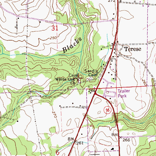 Topographic Map of White Oak Church, AL