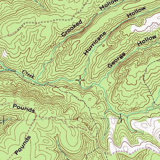 Topographic Map of Hurricane Hollow, TN