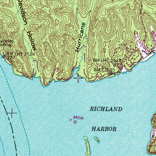 Topographic Map of Hurricane Hollow, TN