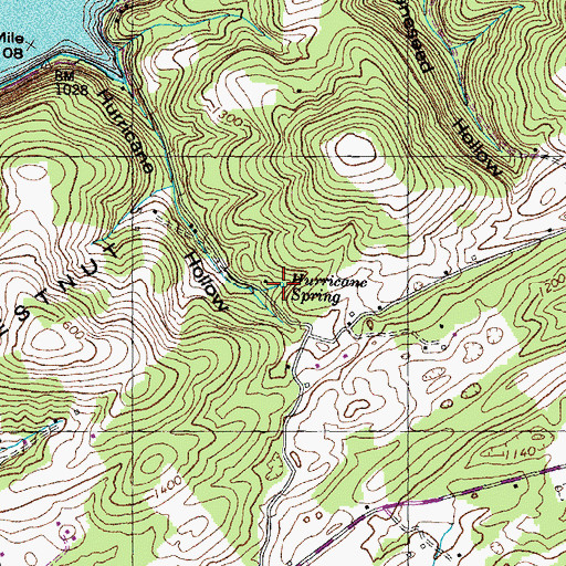 Topographic Map of Hurricane Spring, TN