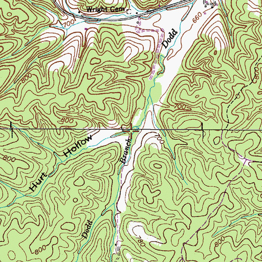 Topographic Map of Hurt Hollow, TN