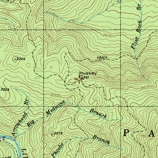 Topographic Map of Huskey Gap, TN