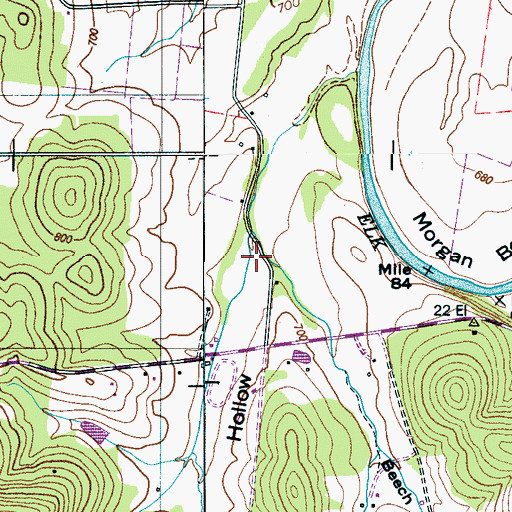 Topographic Map of Hutchinson Hollow, TN