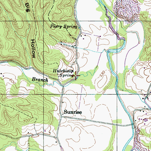 Topographic Map of Hutchison Spring, TN
